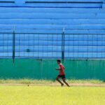 Unlocking Male Vitality: The Ultimate Guide to Male Wellness Supplement, Tongkat Ali